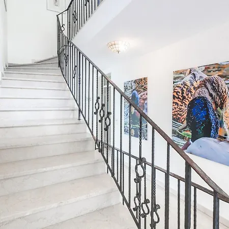 Bergwald Apartment *